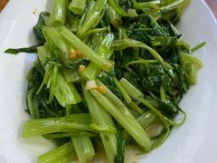 -乌文新澄海卤鹅店