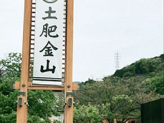 -伊豆观海列车