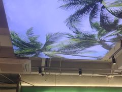 -探窝·竹笙椰子鸡(杨箕店)