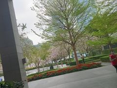 -肯德基(中心书城店)