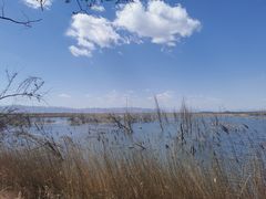 -野鸭湖国家湿地公园