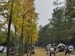 -美兰湖景区