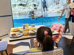 -帝企鹅自助餐厅•儿童岛•真企鹅(长隆企鹅酒店)