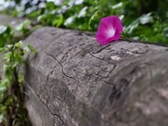 -北京山里寒舍度假酒店