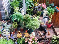 景观位-IFIF 如果花園(宽厚里店)