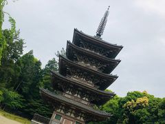 -醍醐寺