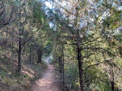 -蟠龙山长城景区