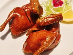 茶皇烟熏鸽-伯衡55·吉品轩(乌鲁木齐南路店)