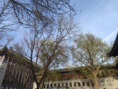 -国家图书馆·古籍馆