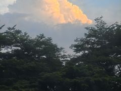 -海港城