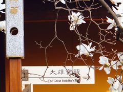 -龙华寺