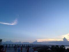 -宝安西湾红树林湿地公园