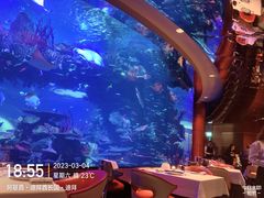 -迪拜帆船酒店海底餐厅