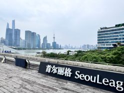 -上海首尔丽格医疗美容医院