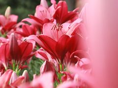 -长春公园(普阳街道)