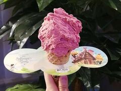 -野人先生现做冰淇淋(西安赛格店)