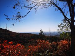 -北京西山国家森林公园