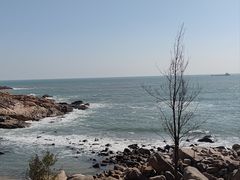 -广东惠东海龟国家级自然保护区