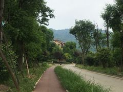 -樱桃山旅游景区