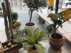 -喜茶(珠海华发商都店)