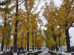 -两江幸福广场