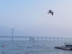 -星海广场