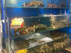 水产区-蚝专家(北滘店)