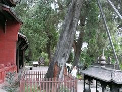 -七曲山风景区