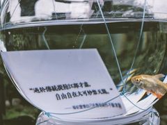 -知美术馆