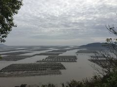 -北岐滩涂