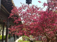 -口岸雕花楼