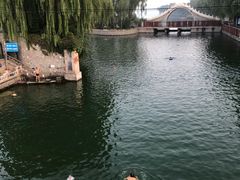 -柳浪游泳场