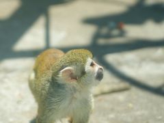 -荆州中山公园动物园