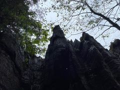 -梭布垭石林景区