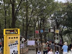 -沂蒙山旅游区云蒙景区(蒙山国家森林公园)