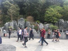 -神光山国家森林公园