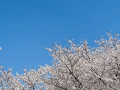 -白塘生态植物园