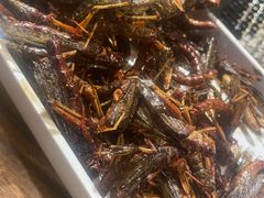 -柿子树炭烤羊腿(金台路店)
