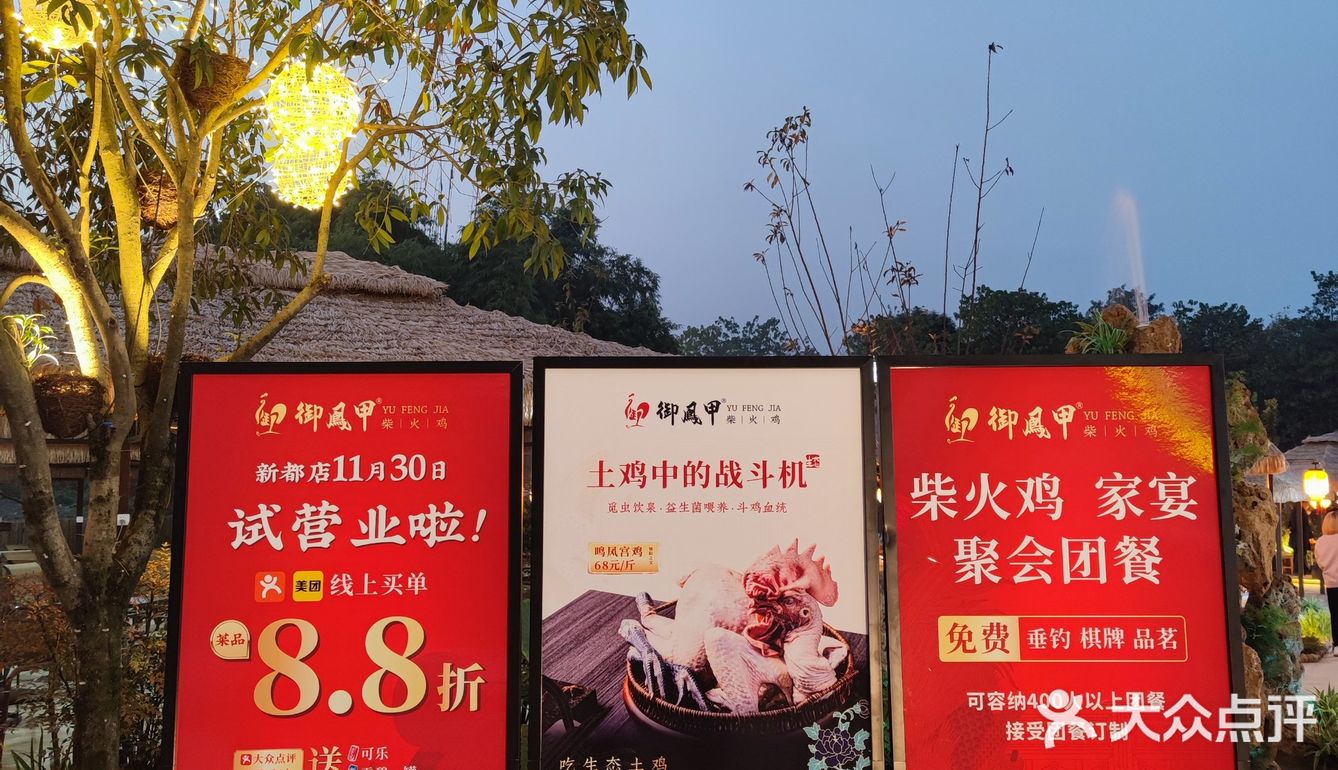 三德子疯了吗？花13年养鸡?到底有多特别？