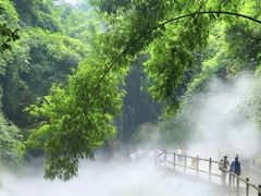 -川西竹海景区