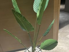 -苏州平江万达广场美居酒店