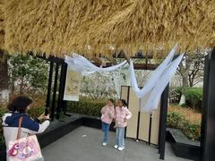 -高东镇樱花园