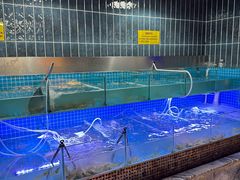 -海韵之星邮轮水会(明发商业广场店)