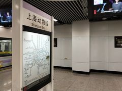 -上海动物园(地铁站)