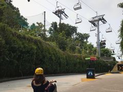 -圣淘沙天际线斜坡滑车