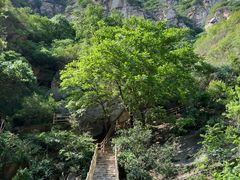 -黑龙潭风景区