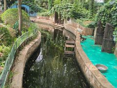 -南宫五洲植物乐园