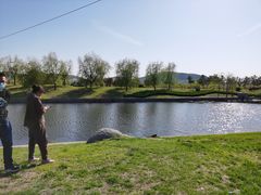 -羊亭河湿地公园