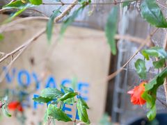 -VOYAGE COFFEE 咖啡烘焙工坊店(798艺术区店)