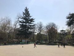 -莲湖公园